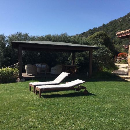 빌라 산 피에트로 Le Tre Civette - Residenza Di Campagna B&B 외부 사진